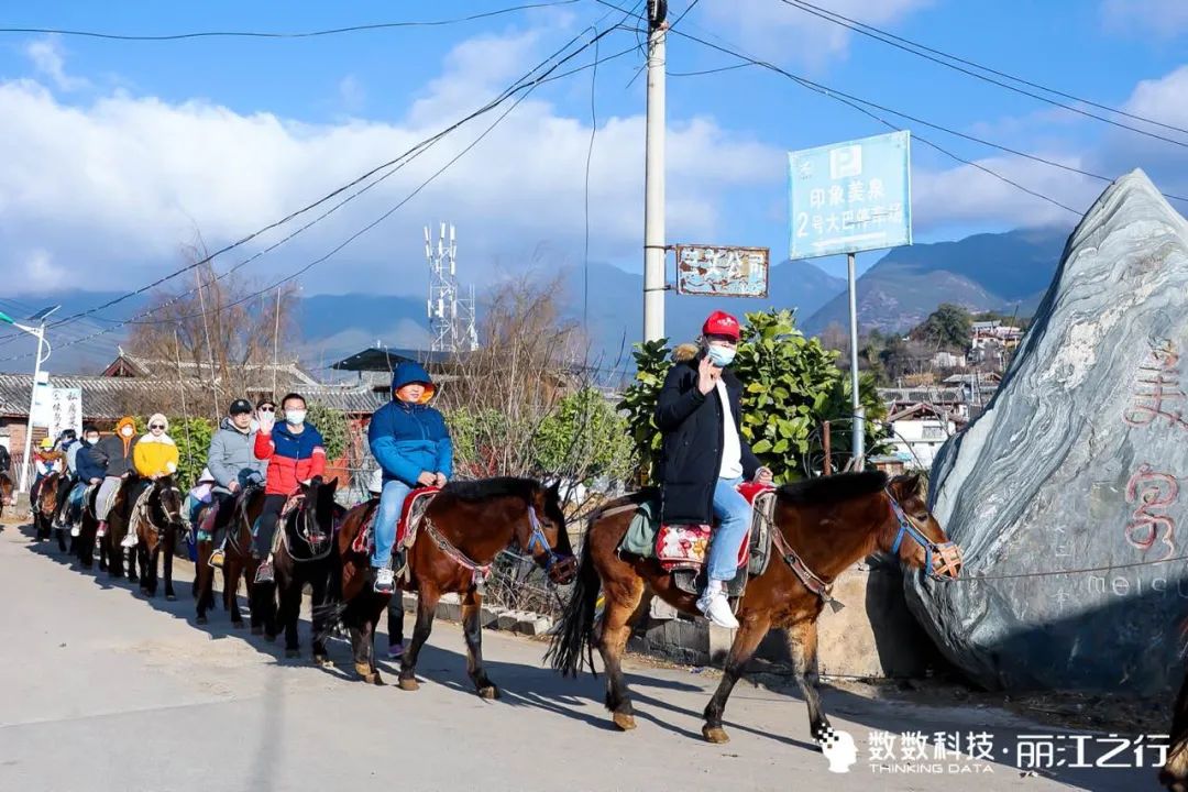 不负韶华 · 勇攀高峰｜数数科技2020年会团建 — 丽江之行