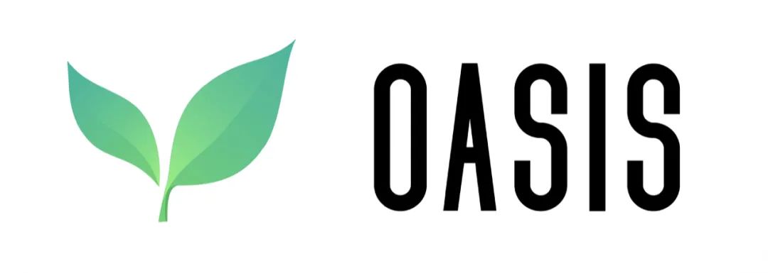 在南美爆火的Oasis，是如何借力数据做好元宇宙社交的？